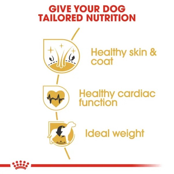 Royal Canin Golden Retriever Adult - Суха храна за голдън ретривъри в зряла възраст над 15 месеца